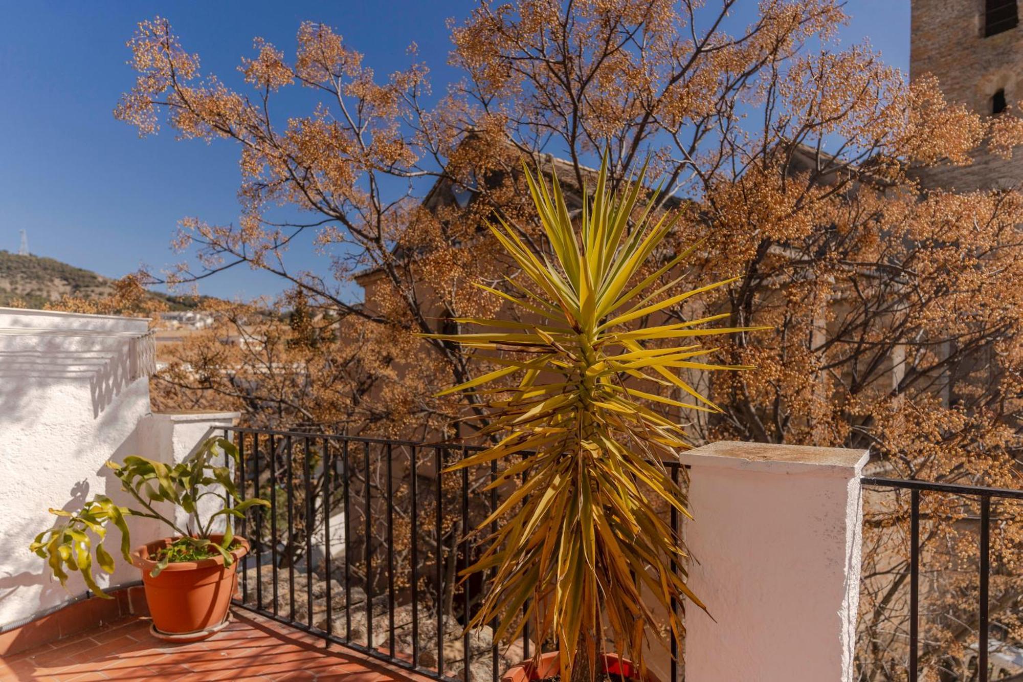 La Casita De La Plaza Villa กรานาดา ภายนอก รูปภาพ